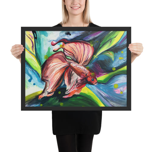 Framed Print-Betta Fish