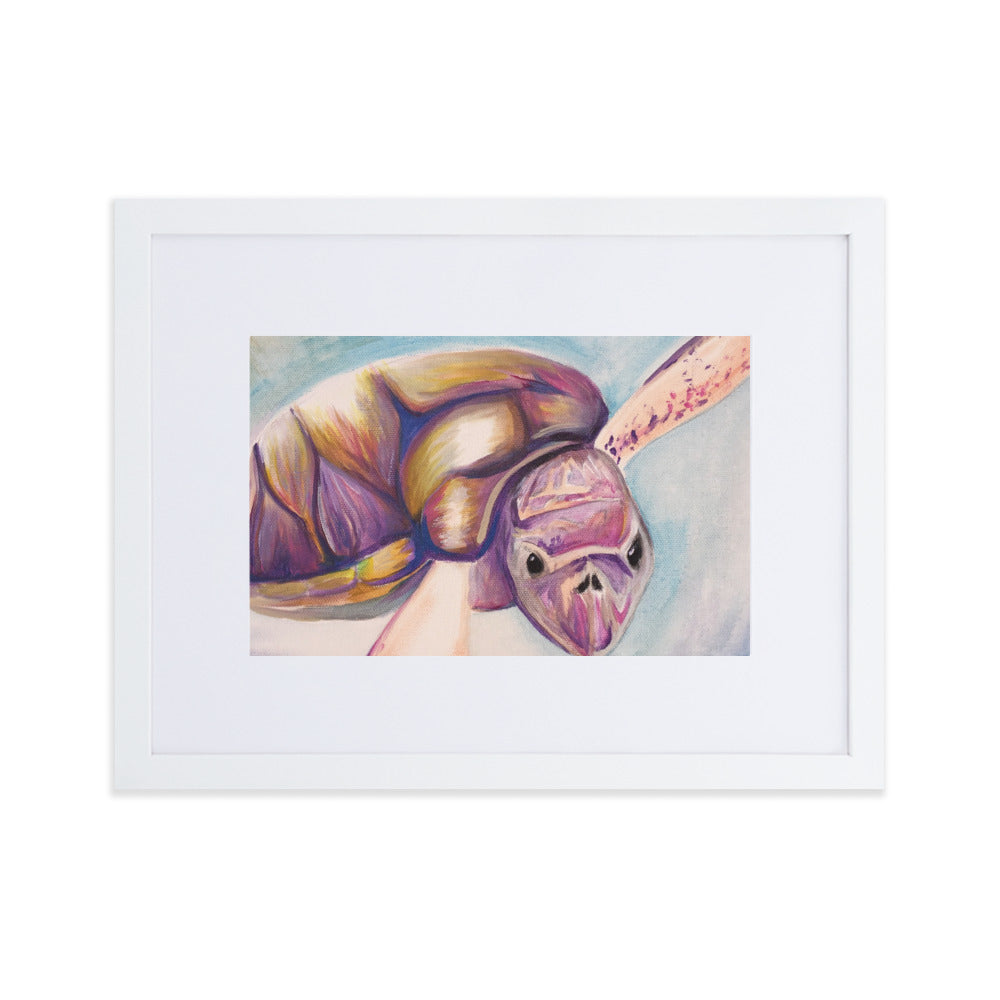 Matte Paper Framed Print Turtle
