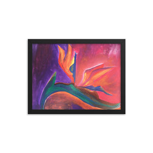 Framed Bird of Paradise Print