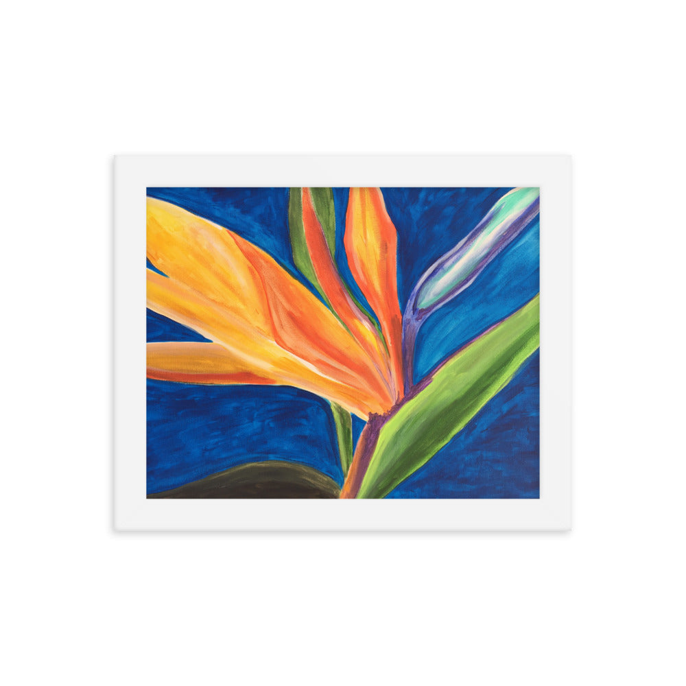 Framed Bird of Paradise #2